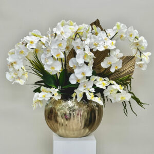 Silk Phalaenopsis Orchids