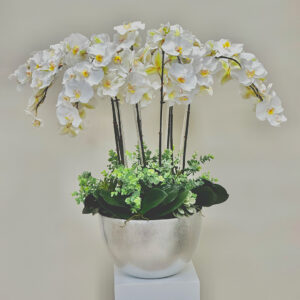 Silk Phalaenopsis Orchids