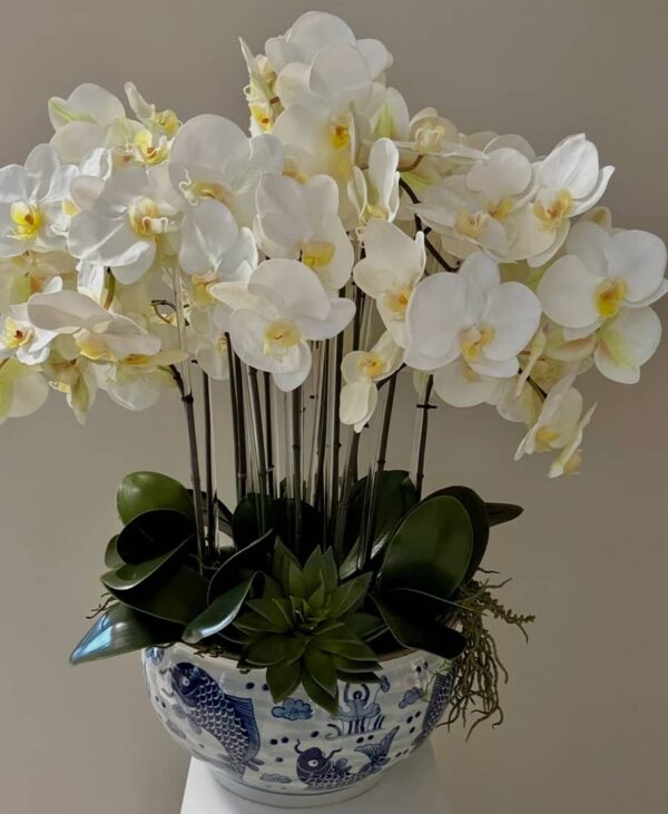 Silk White Phalaenopsis Orchids