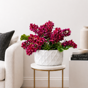 The Architectural Orchid