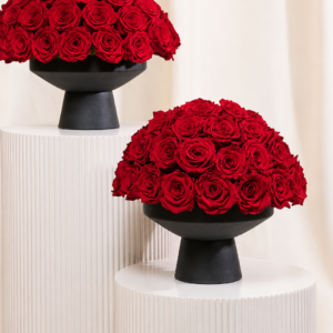 The Scarlet Collection