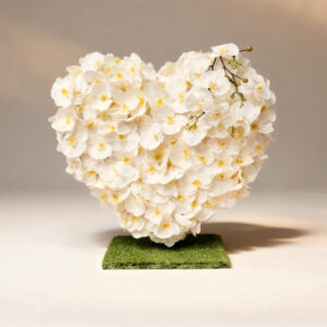 Maison White Orchid