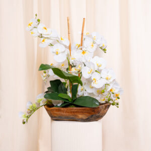 Ivory Cascade