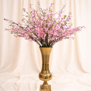 Pink Dynasty