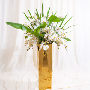 The Versailles Orchid