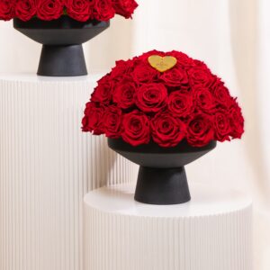 The Scarlet Collection