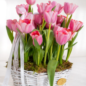 The Blush Tulip Basket