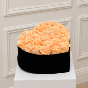 Peach Elegance
