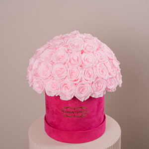 The Blush Silhouette