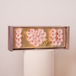 I Love You Acrylic Box